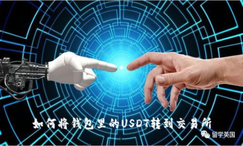 如何将钱包里的USDT转到交易所