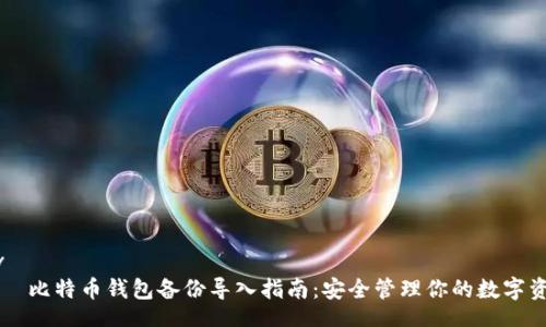 div
    比特币钱包备份导入指南：安全管理你的数字资产