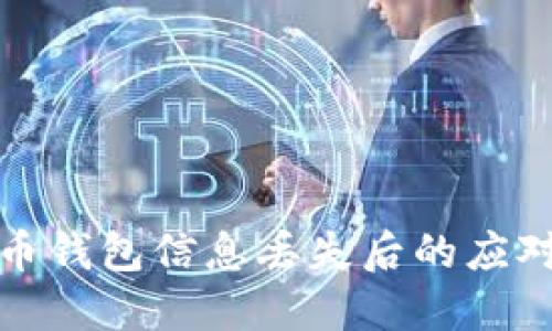 比特币钱包信息丢失后的应对策略
