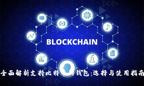 全面解析支持比特币的钱包：选择与使用指南