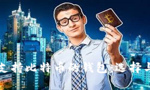 全面解析支持比特币的钱包：选择与使用指南