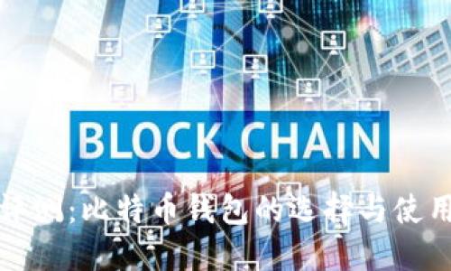 全面评测：比特币钱包的选择与使用指南