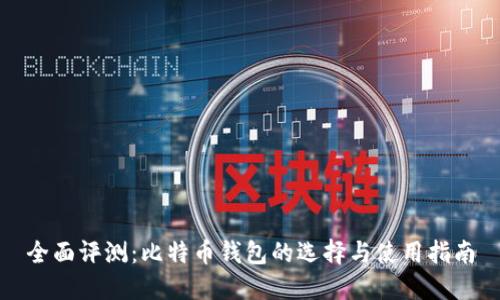 全面评测：比特币钱包的选择与使用指南