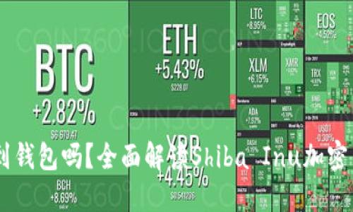 SHIB可以提现到钱包吗？全面解读Shiba Inu加密货币的提现方式