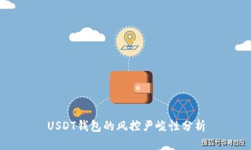 USDT钱包的风控严峻性分析