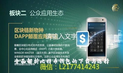 全面解析比特币钱包的下载与选择